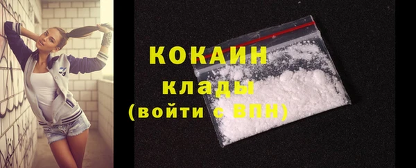 прущий лед Алзамай