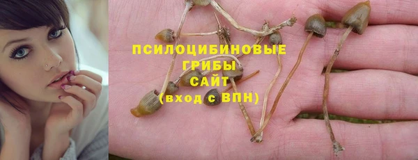 спайс Алексин