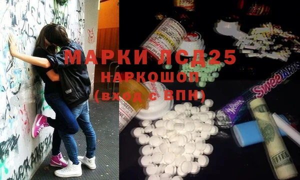 прущий лед Алзамай
