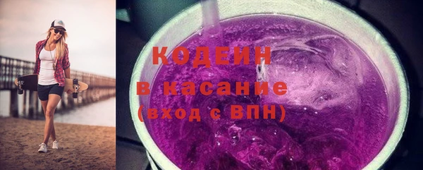 прущий лед Алзамай