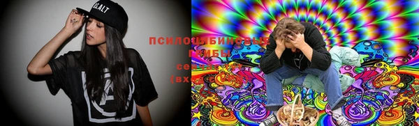прущий лед Алзамай