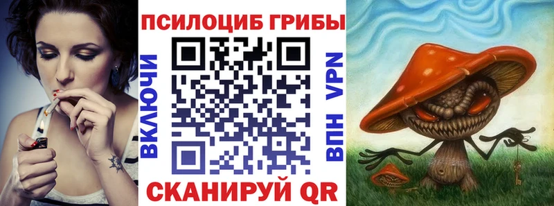 Псилоцибиновые грибы Psilocybe  Дегтярск 