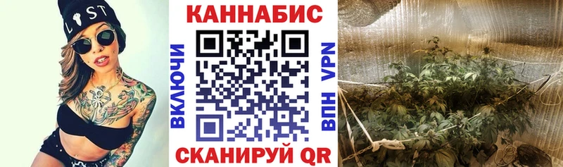 дарк нет Telegram  Дегтярск  Бошки марихуана LSD WEED 